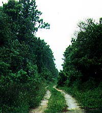 photo of road