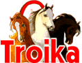 Troika, the ultimate Russian horse resource centre