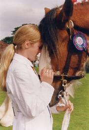 The Clydesdale - a true friend