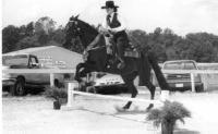 competitive jumping and trail classes