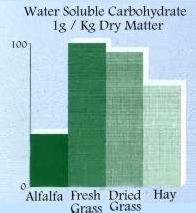 Water Soluble Carbohydrate levels
