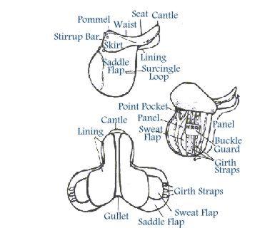 The parts of a Saddle