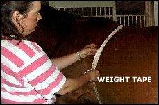 Weight Estimation