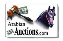 Arabian Auctions .com