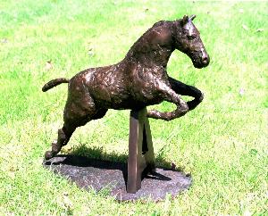 The Impressive Bronze for "Classic" Winner at Armathwaite Hall Strongid-P Horse Trials