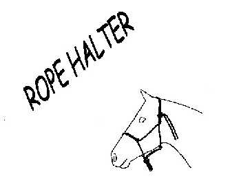 Rope Halter