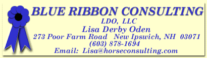 Blue Ribbon Consulting