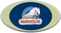 Equestrian
                           Search Engine