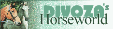 Divoza's Horse World