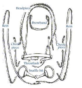 Parts of the Bridle