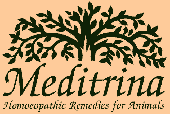 Meditrina Homeopathy for Animals